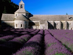 D�couverte de la PROVENCE � Pieds en en Minibus