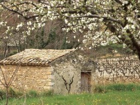 D�couverte de la PROVENCE � Pieds en en Minibus